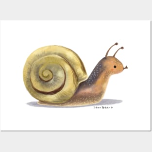 Brown Lipped Snail Posters and Art